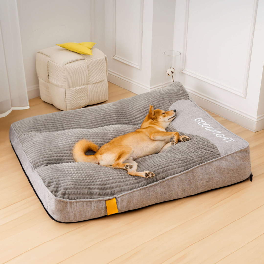 Orthopedic Dog Bed with Plush Support Cushion