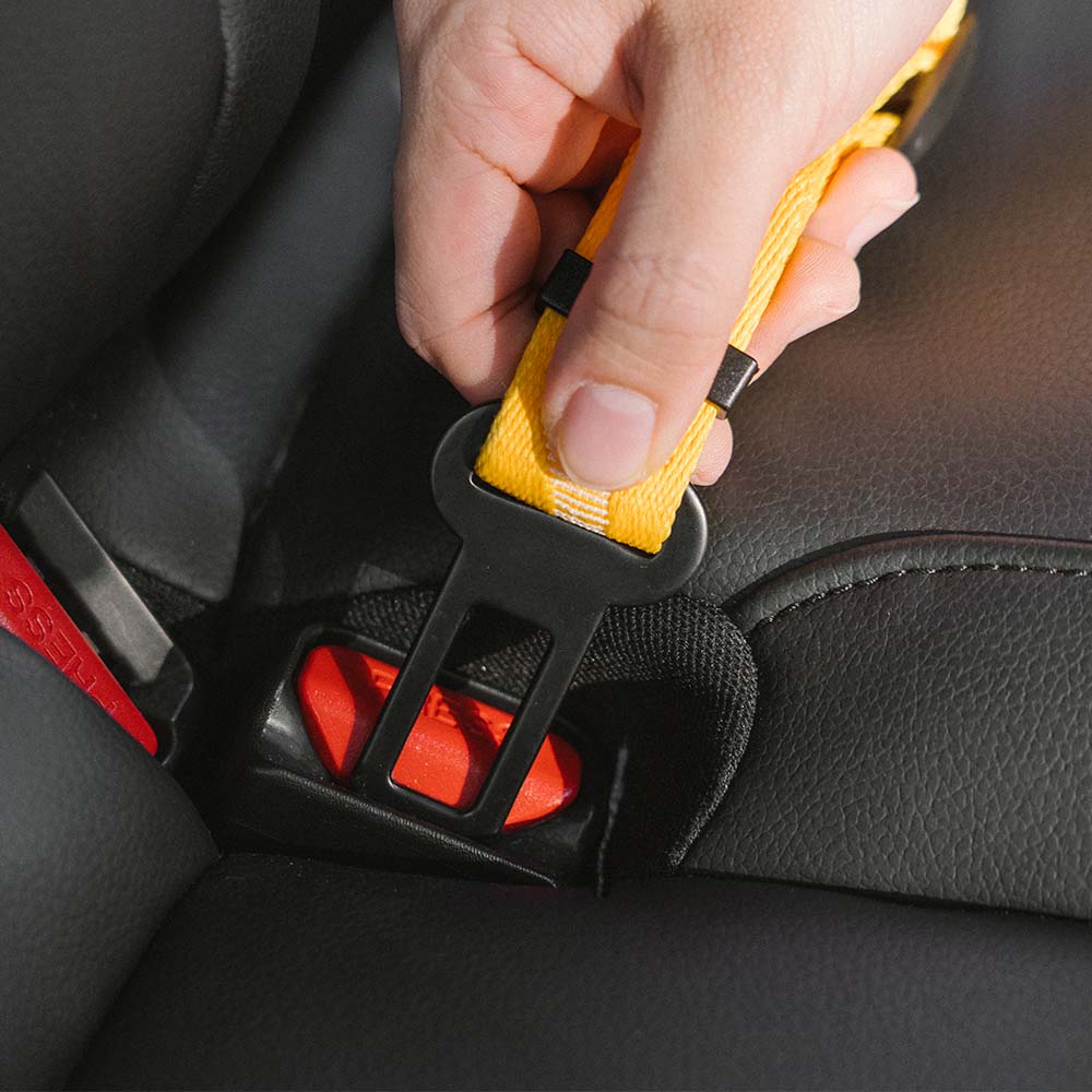 Dog Seat Belt with Adjustable Safety Strap