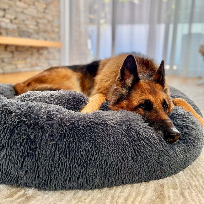Dog Bed Orthopaedic Plush Round Calming Nest