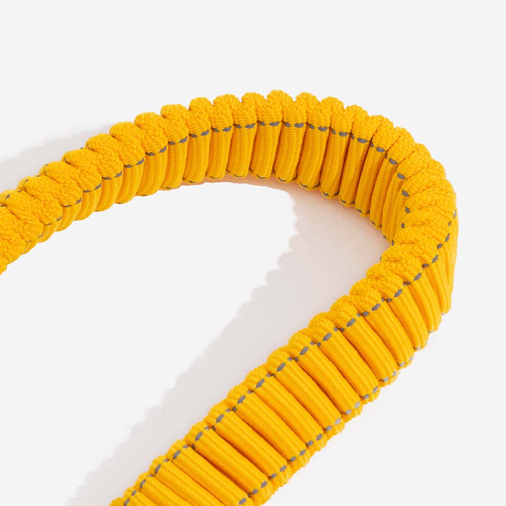 Dog Seat Belt with Adjustable Safety Strap