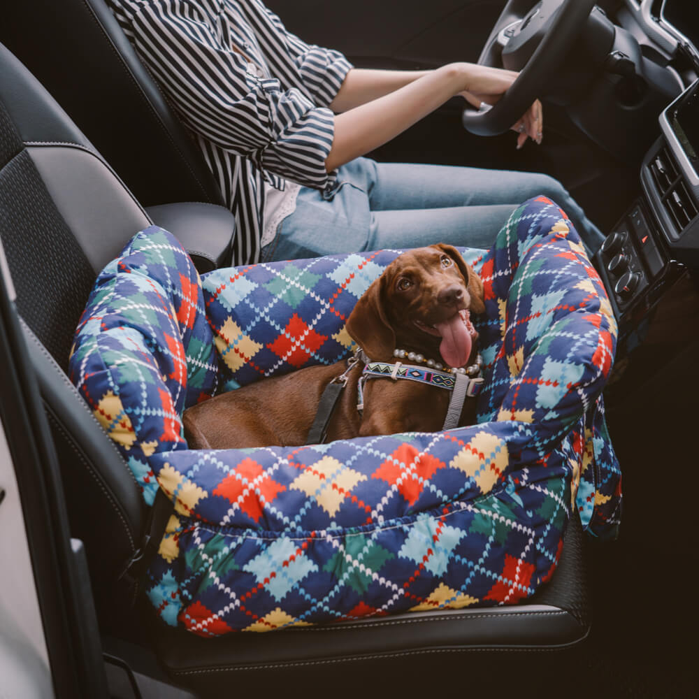 Dog Car Seat with Safety Strap and Cushion