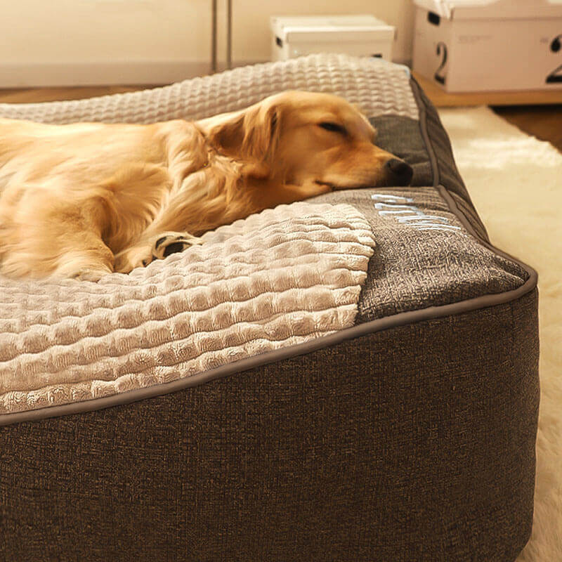 Orthopedic Dog Bed with Plush Support Cushion