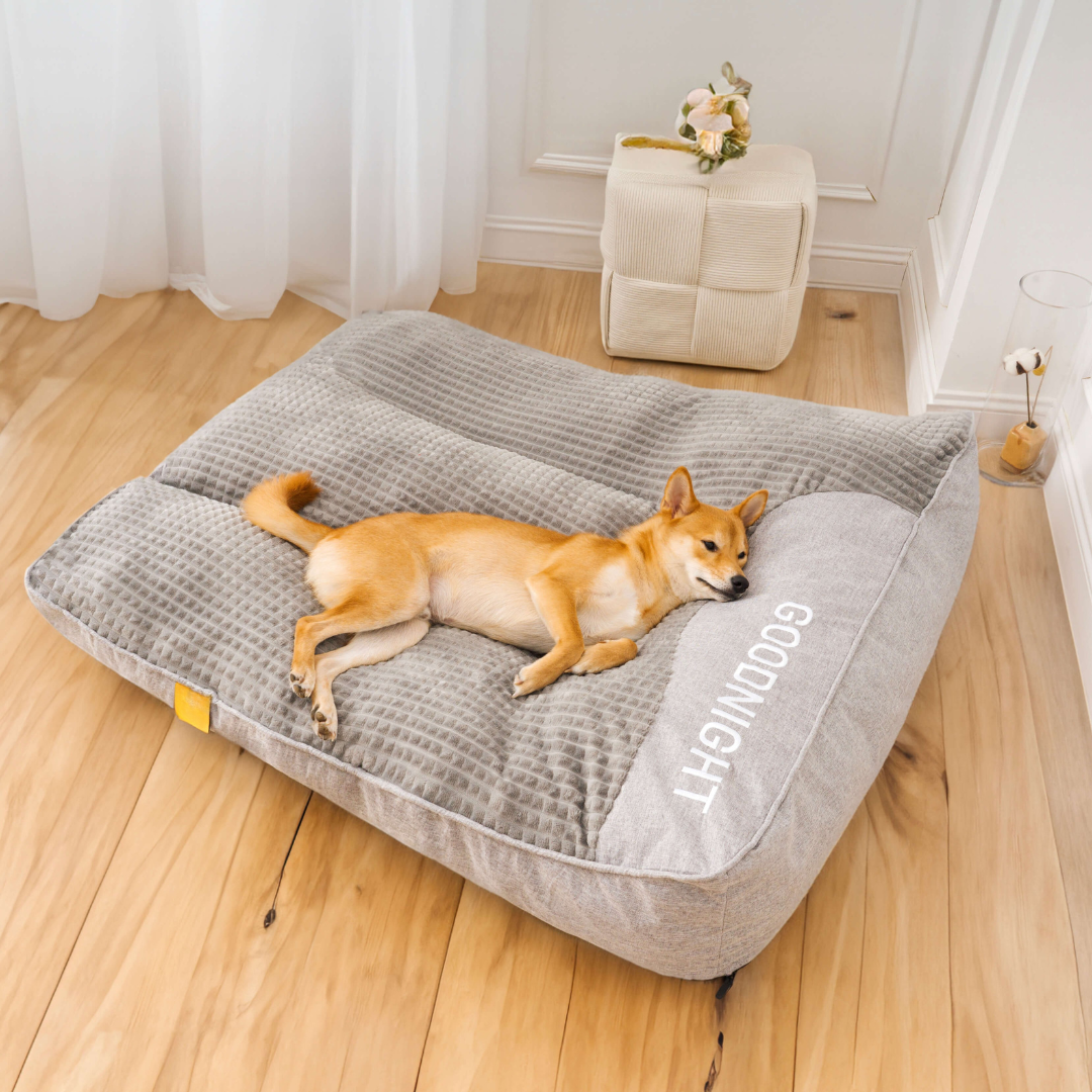 Orthopedic Dog Bed with Plush Support Cushion