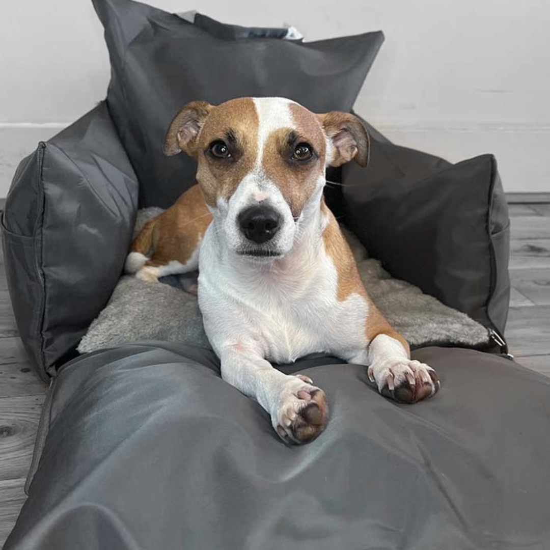 Dog Car Seat Waterproof Travel Bed for Pets