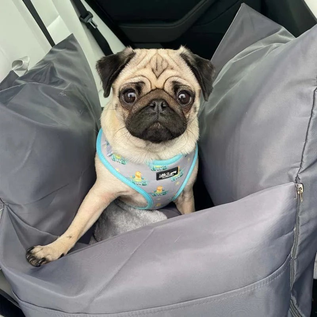 Dog Car Seat Waterproof Travel Bed for Pets